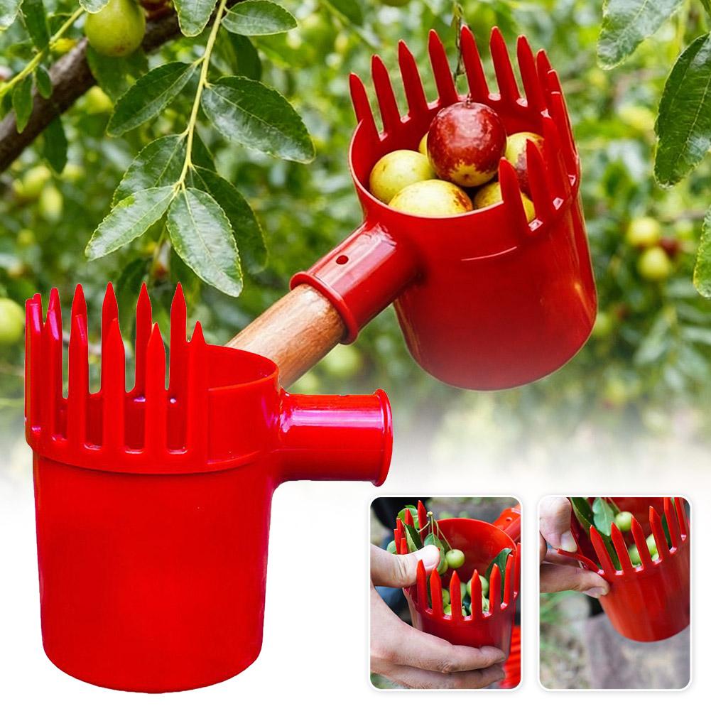 Agriculture Tomato Farming - 1 stks Kleine Fruitplukker Draagbare Oogsttool