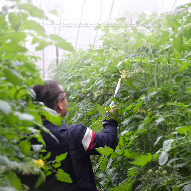 220V‑50Hz 6A Elektrische Vibra - Agriculture Tomato Farming recensie en prijs