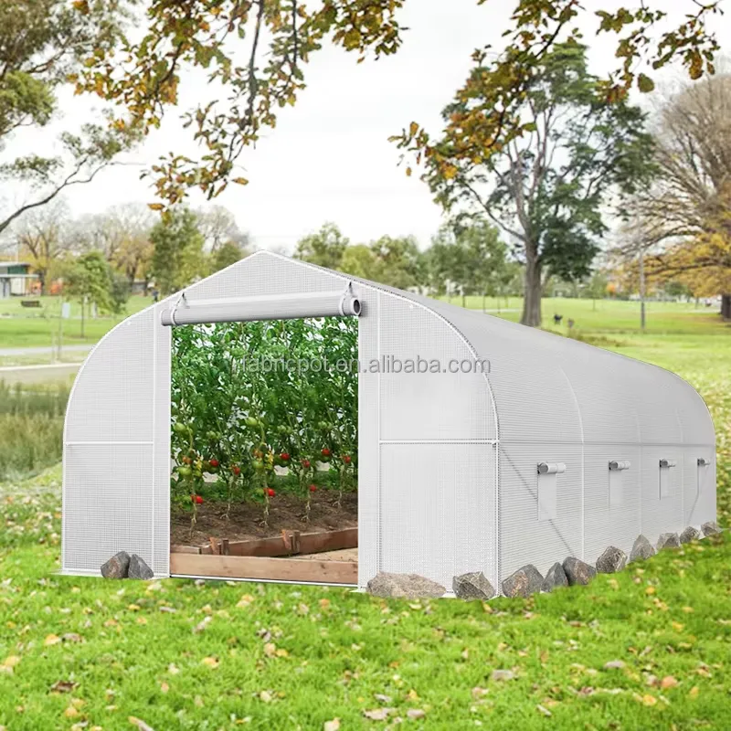 Agrarische kas van plastic fol - Agriculture Tomato Farming recensie en prijs