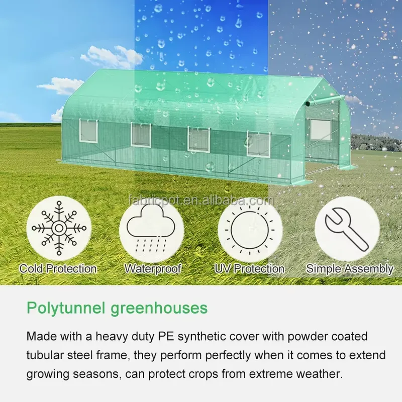 Agrarische kas van plastic fol - Agriculture Tomato Farming recensie en prijs