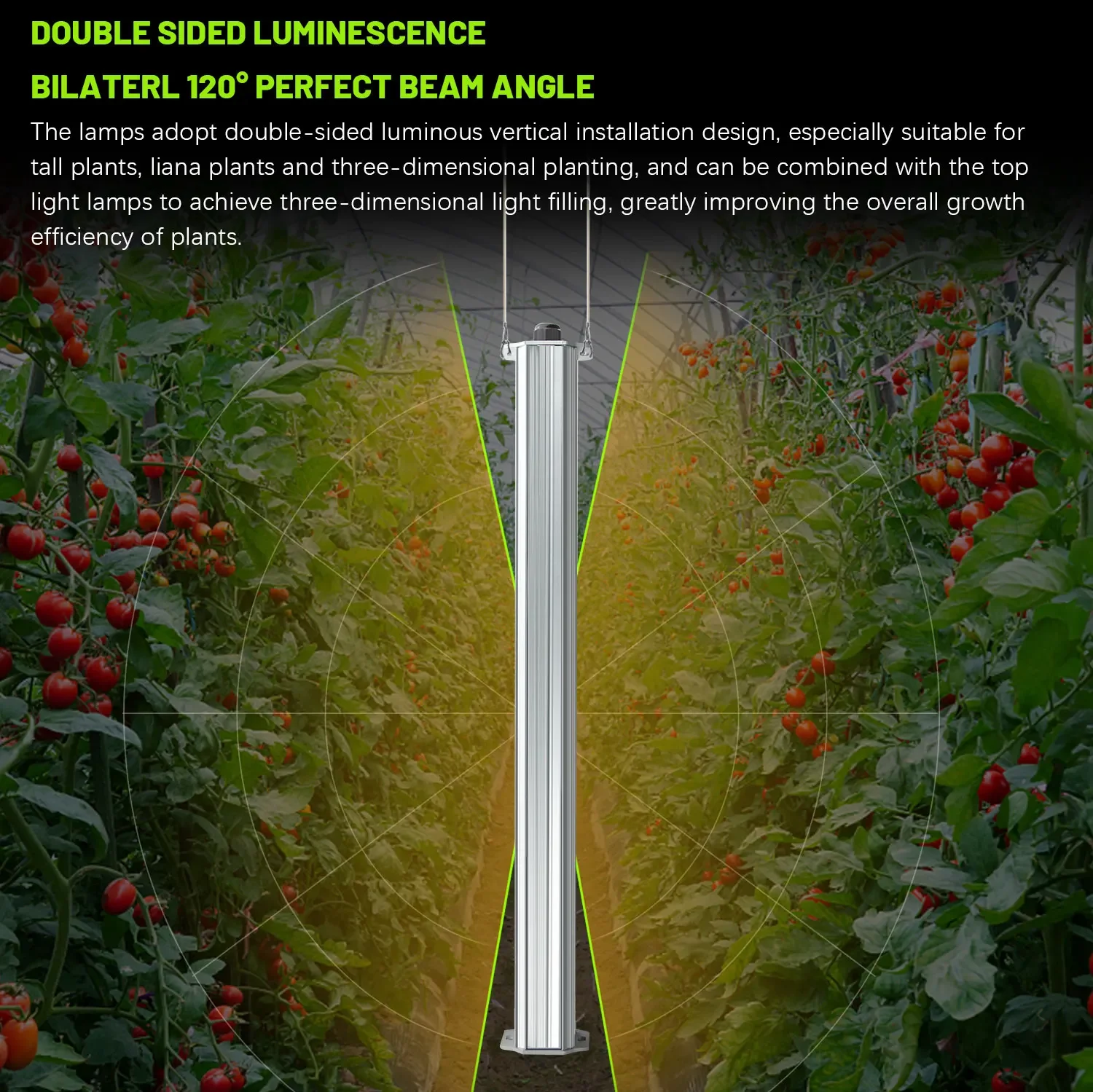 Beste ETL-gecertificeerde plan - Agriculture Tomato Farming recensie en prijs