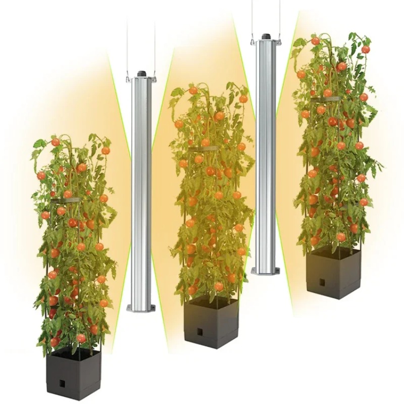 Beste ETL-gecertificeerde plan - Agriculture Tomato Farming recensie en prijs