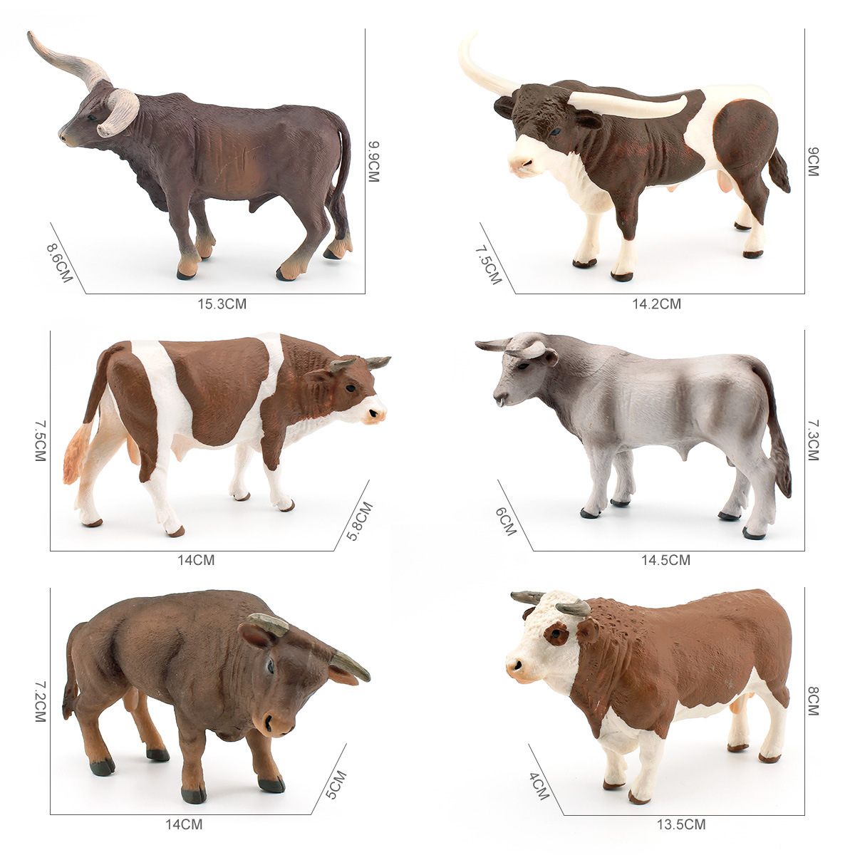Zwitsers bruin rundvee, gesimu - Farming Agriculture Stocks recensie en prijs