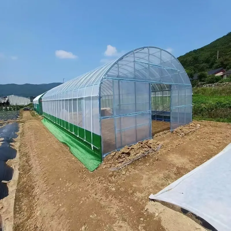 Enkelspankassen voor de landbo - Agriculture Tomato Farming recensie en prijs