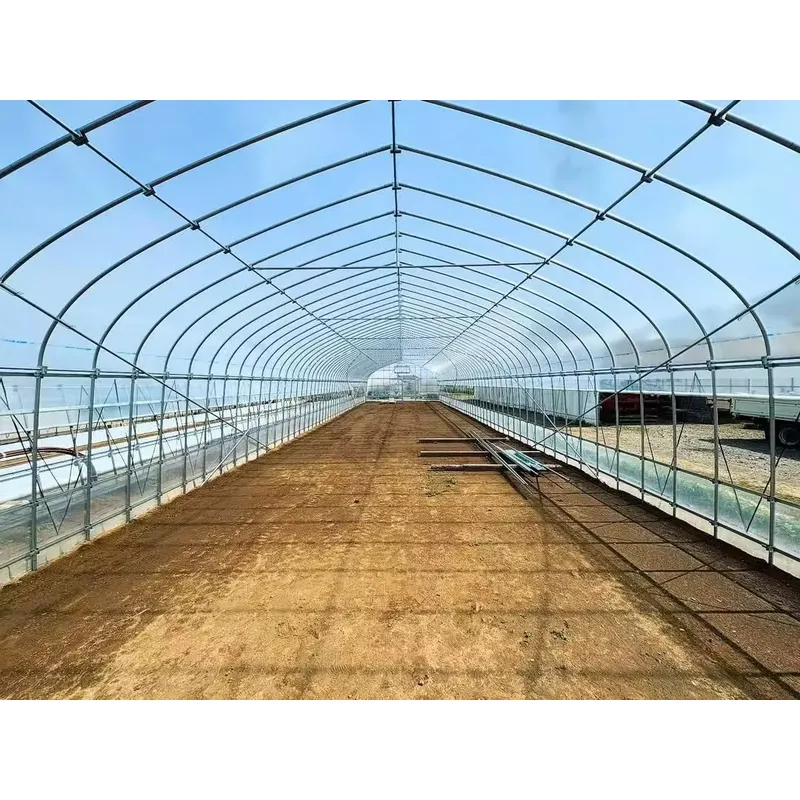 Enkelspankassen voor de landbo - Agriculture Tomato Farming recensie en prijs