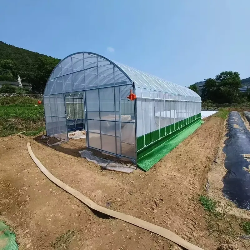 Enkelspankassen voor de landbo - Agriculture Tomato Farming recensie en prijs
